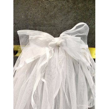 First Holy Communion Veil Style CV174