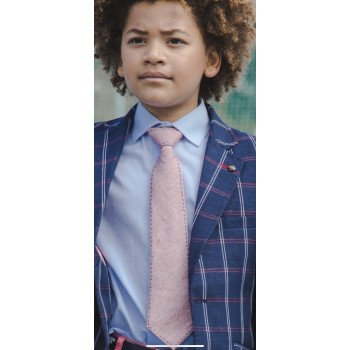 ONE VARONESSALMON PINK FIRST HOLY COMMUNION/SPECIAL OCCASION BOYS TIE STYLE 10-08023G 166