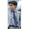 ONE VARONES DACHSHUND BOYS NAVY FIRST HOLY COMMUNION/SPECIAL OCCASION BOYS TIE WITH MARINE MOTIF STYLE 10-08023 176