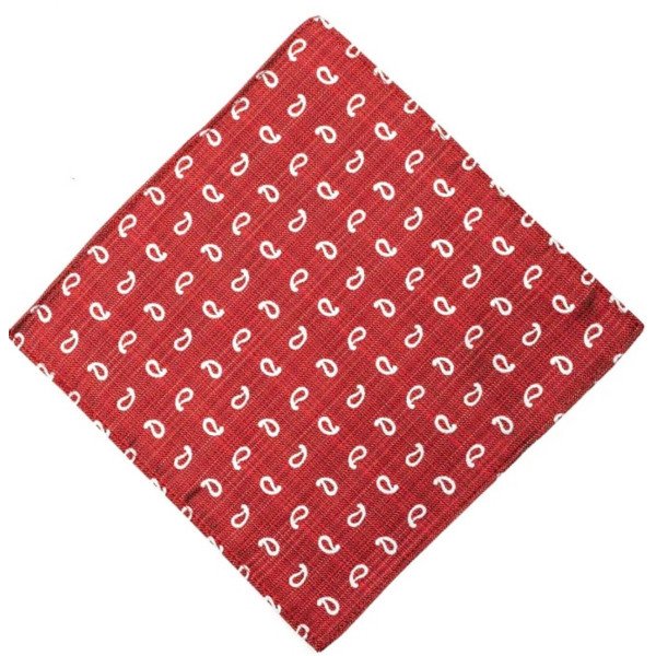 ONE VARONES RED/WHITE FIRST HOLY COMMUNION/SPECIAL OCCASION BOYS HANDKERCHIEF STYLE 10-08027 200 ONE VARONES RED/WHITE FIRST HOLY COMMUNION/SPECIAL OCCASION BOYS HANDKERCHIEF STYLE 10-08027 200