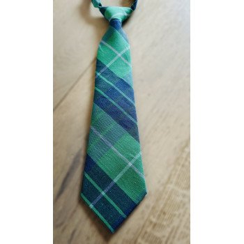 ONE VARONES CHECK GREEN & NAVY FIRST HOLY COMMUNION/SPECIAL OCCASION BOYS TIE STYLE 10-08026J 209