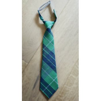 ONE VARONES CHECK GREEN & NAVY FIRST HOLY COMMUNION/SPECIAL OCCASION BOYS TIE STYLE 10-08026J 209