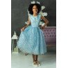 Blue Confirmation Dress