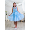 Baby Blue Confirmation Dress