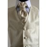 Gold Boys Waistcoats Set in Gift Set