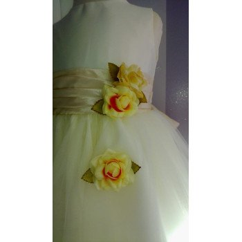 Amazing Flower Girl/Special Occasion Dress by Sevva style D1236