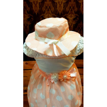 Ivory/Peach Special Occasion Dress with Bonnet Style 0598